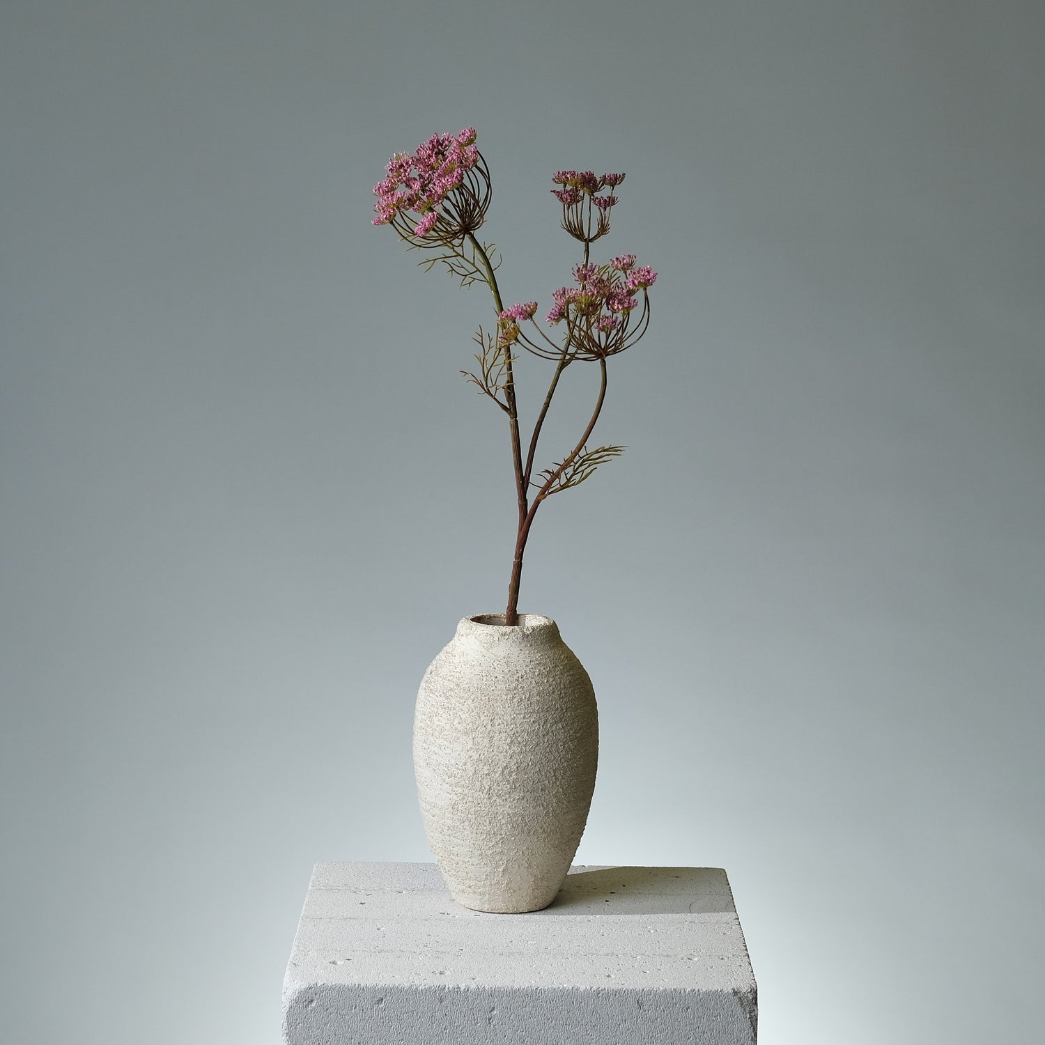 Vildmorot Lavendel - FLORISSMA