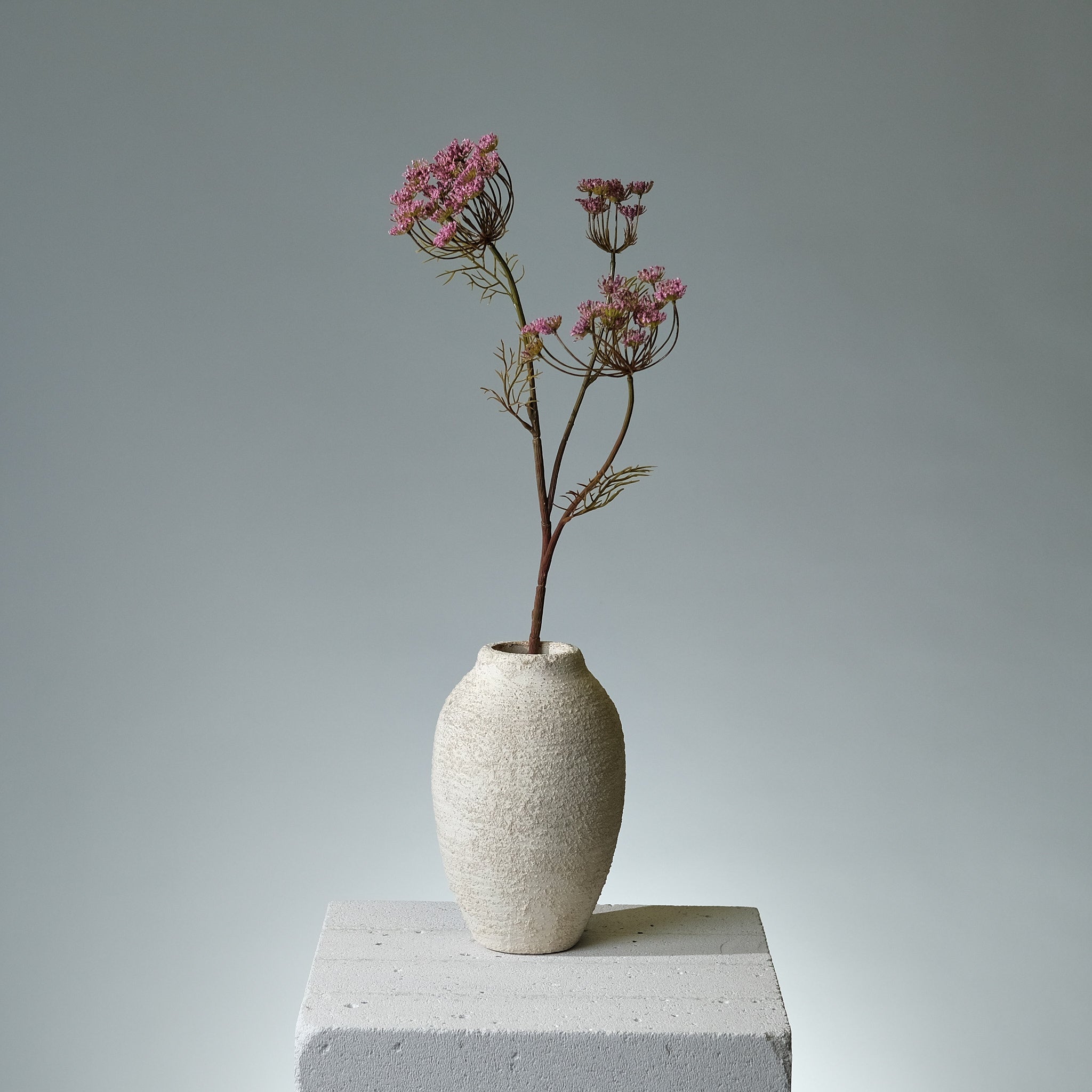 Vildmorot Lavendel - FLORISSMA