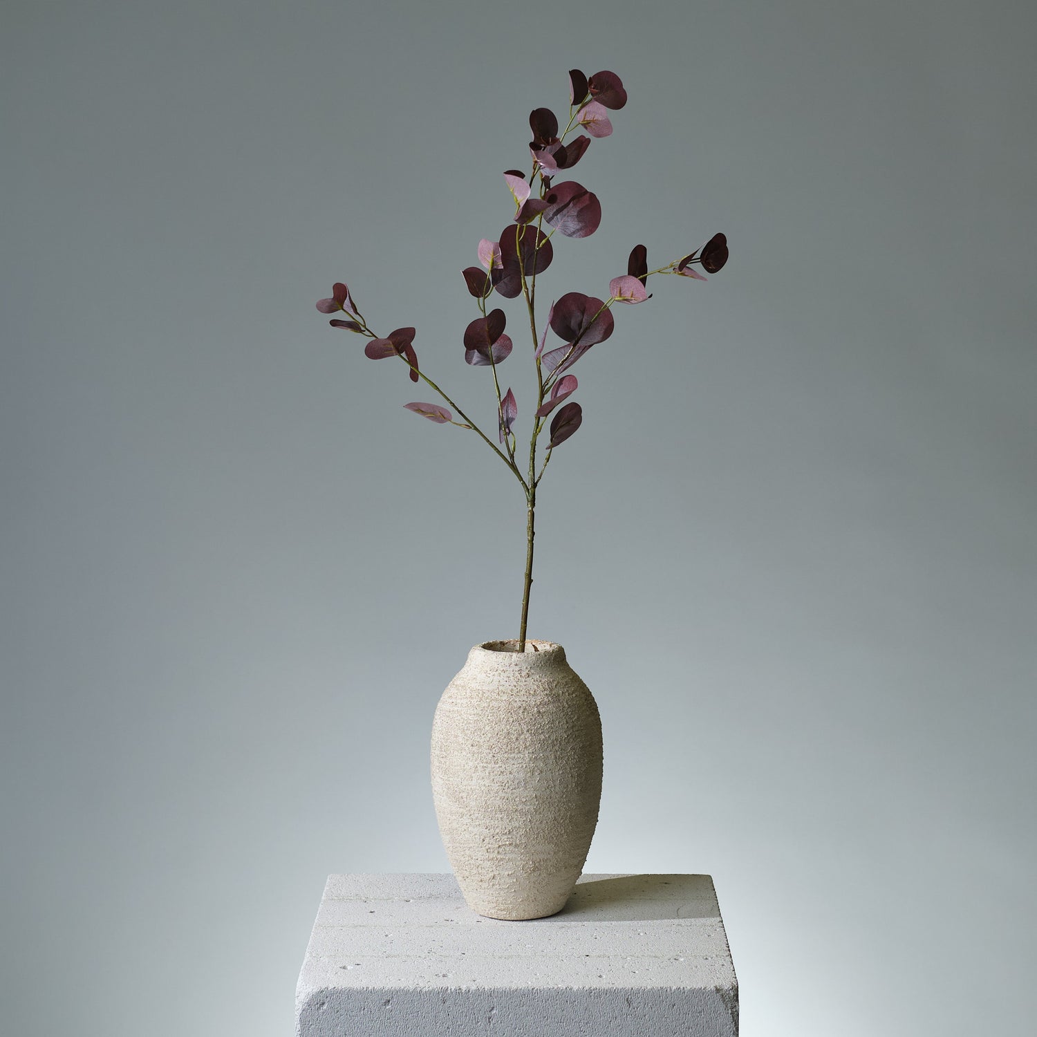 Eukalyptus Bourgogne/Grön - FLORISSMA