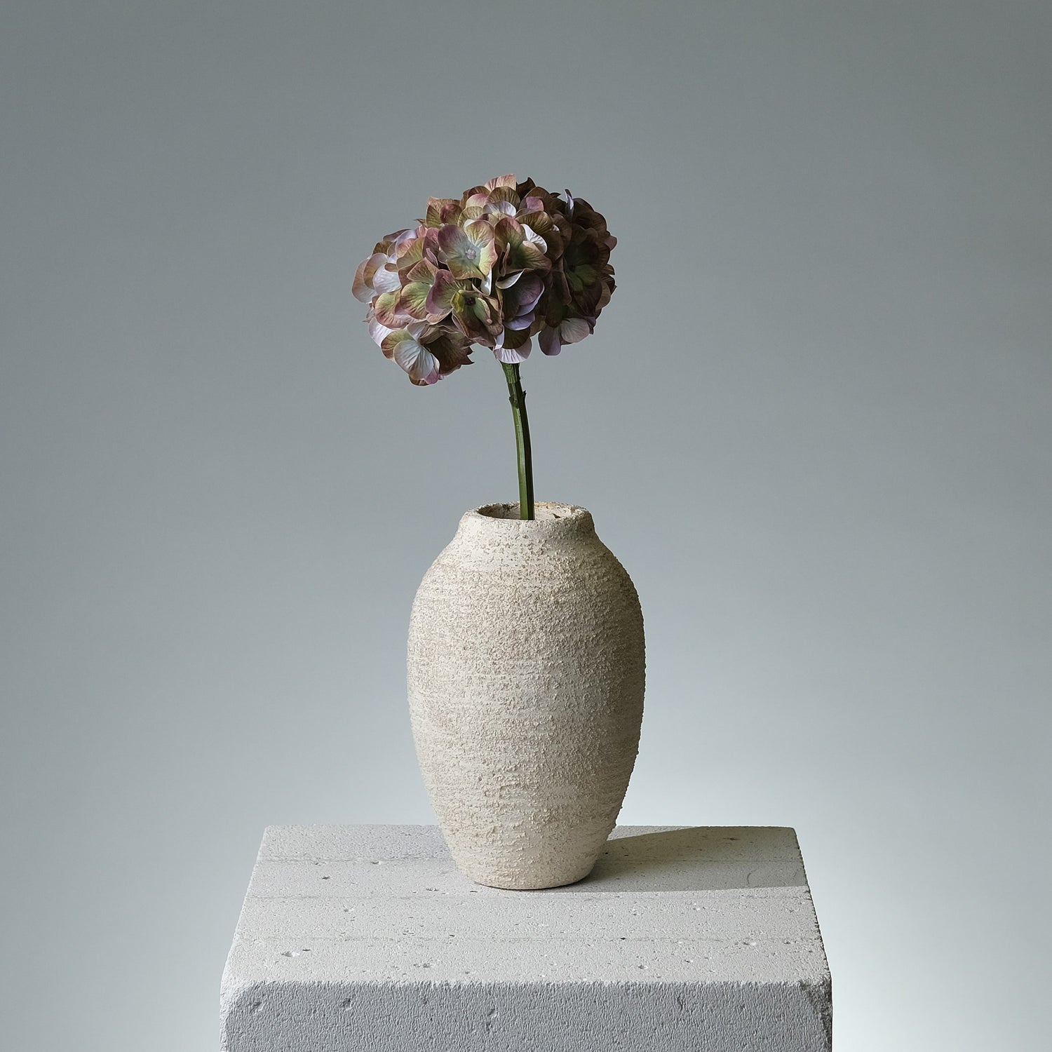 Hortensia Grön - FLORISSMA
