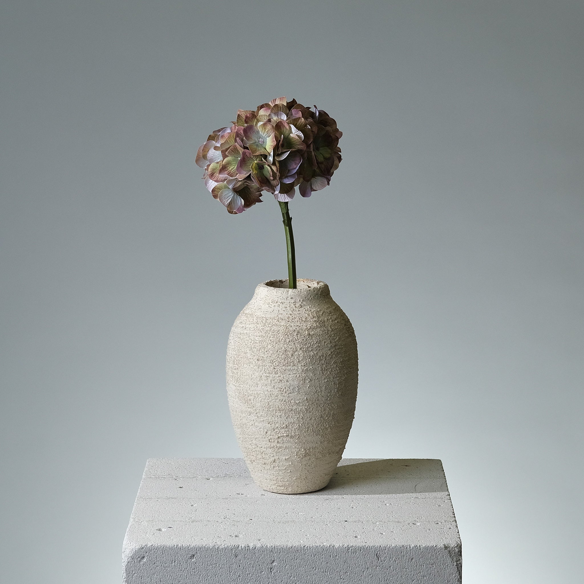 Hortensia Grön - FLORISSMA