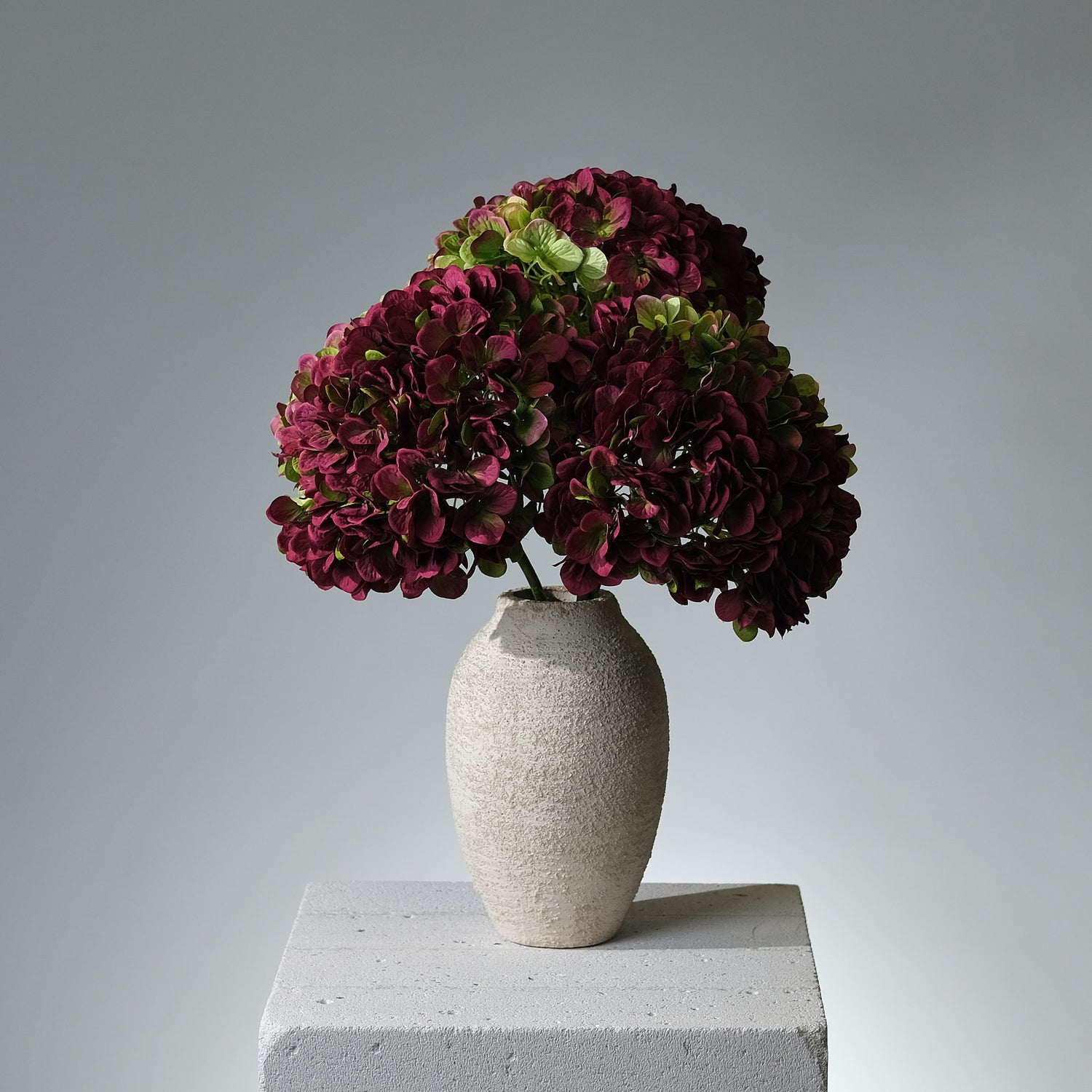 Hortensia Lila/Grön Stor - FLORISSMA