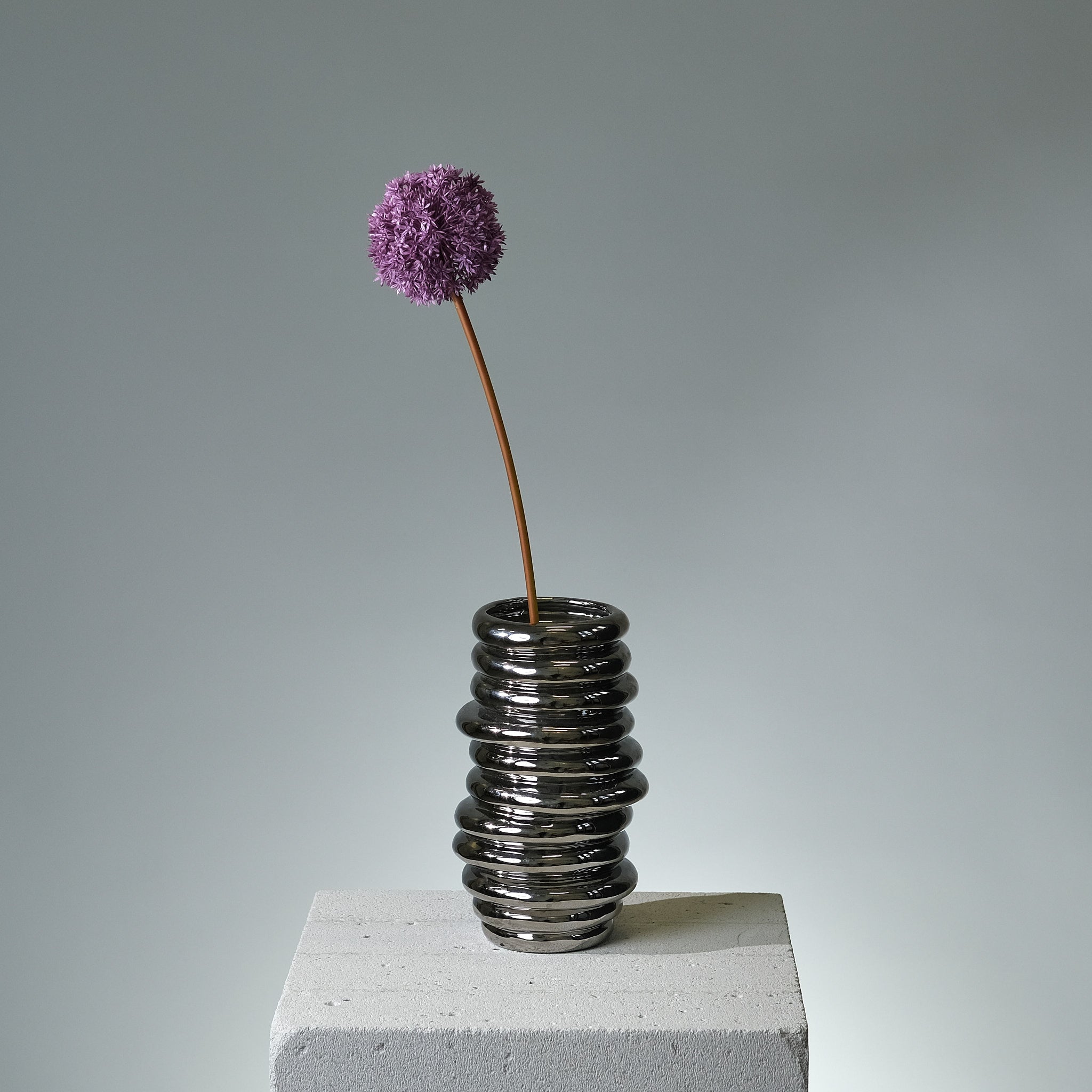 Allium Purple