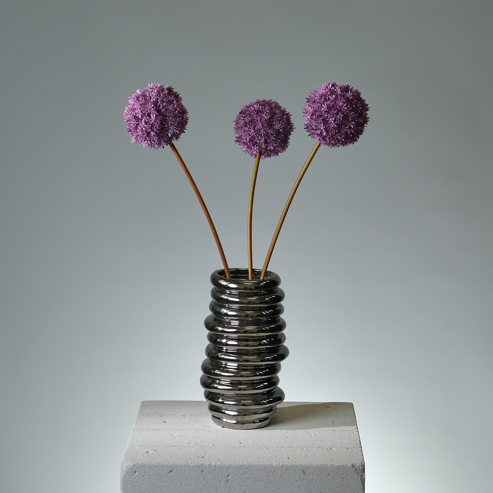 Allium Purple