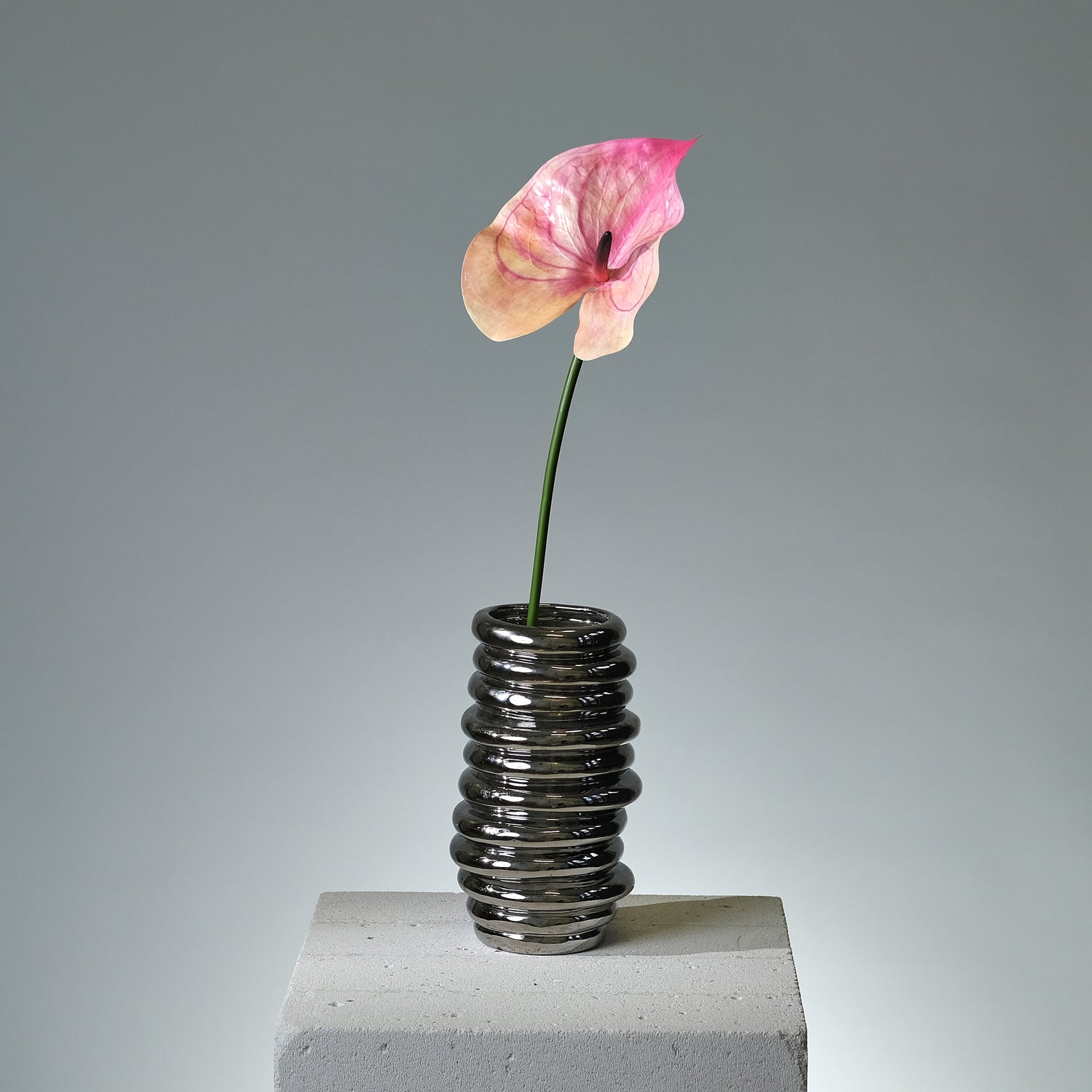 Anthurium Mörkrosa - FLORISSMA