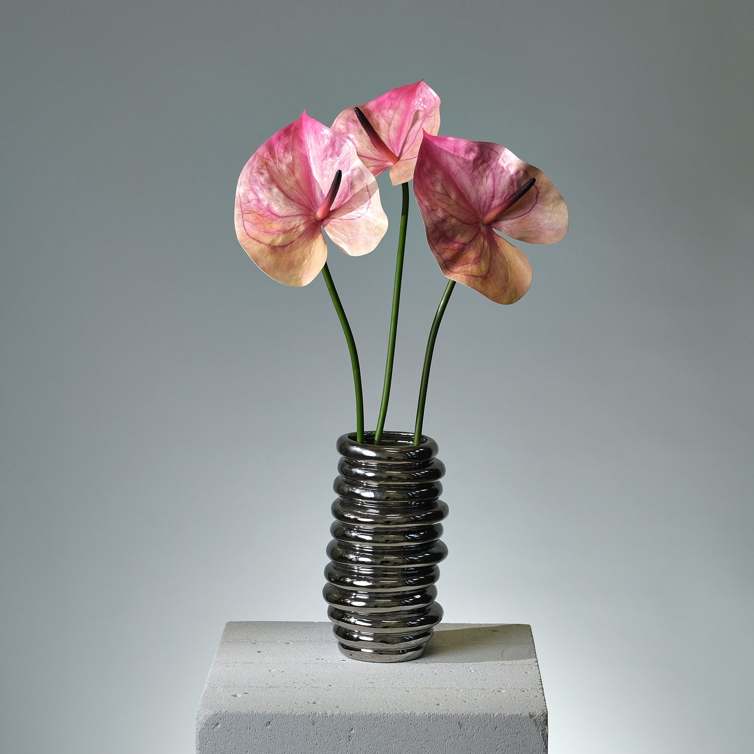 Anthurium Mörkrosa - FLORISSMA
