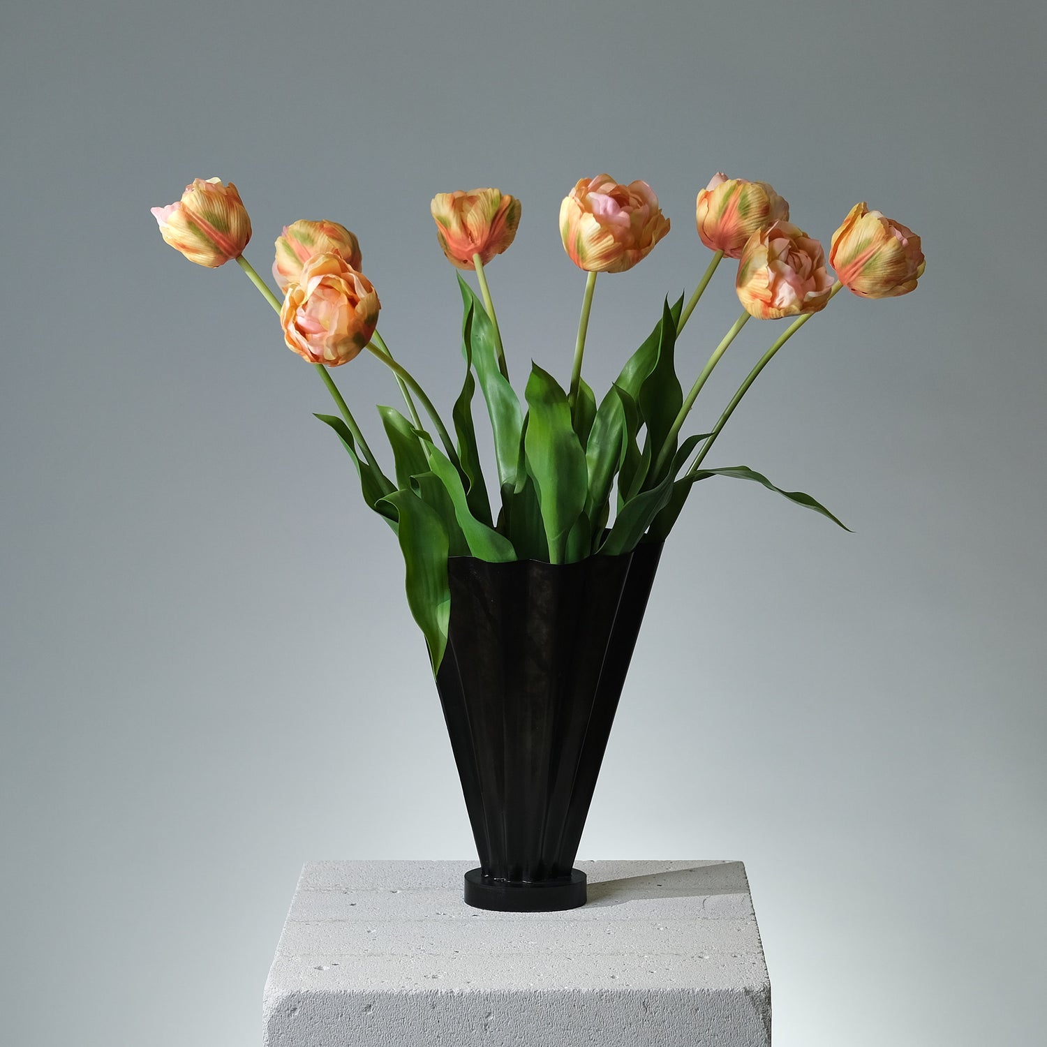 Tulpan Persika/Grön - FLORISSMA