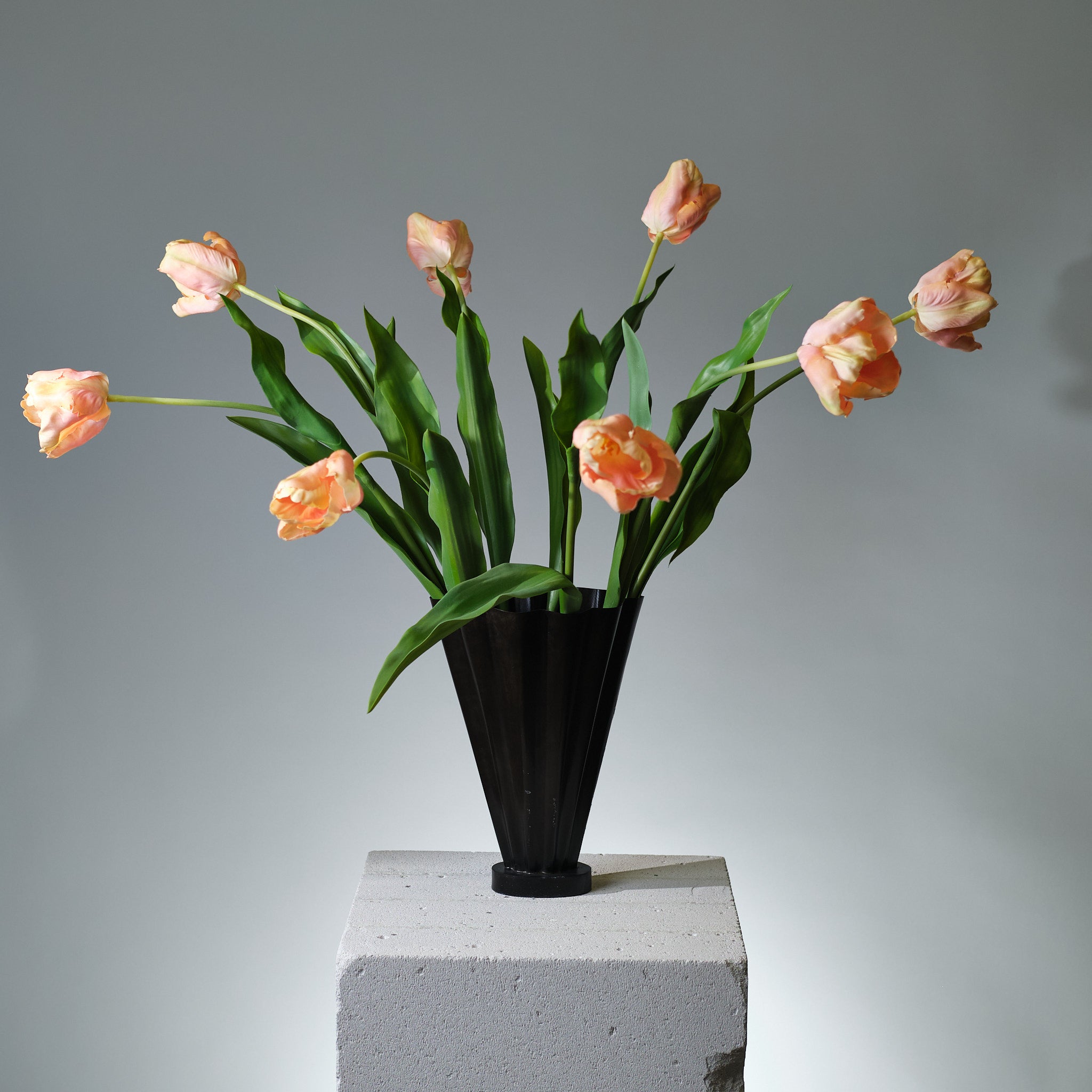 Tulpan Rosa/Creme - FLORISSMA