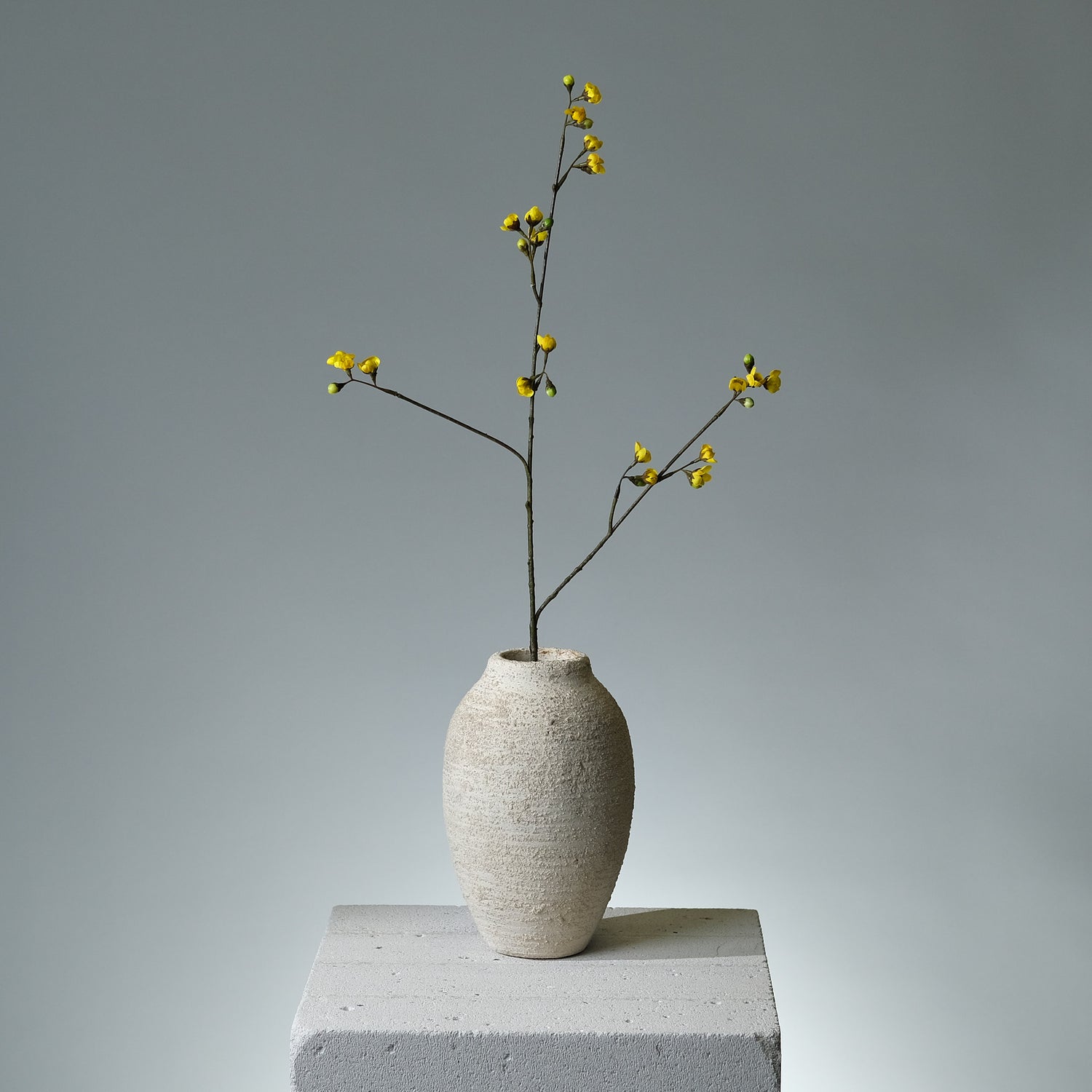 Körsbärsblomma Gul - FLORISSMA