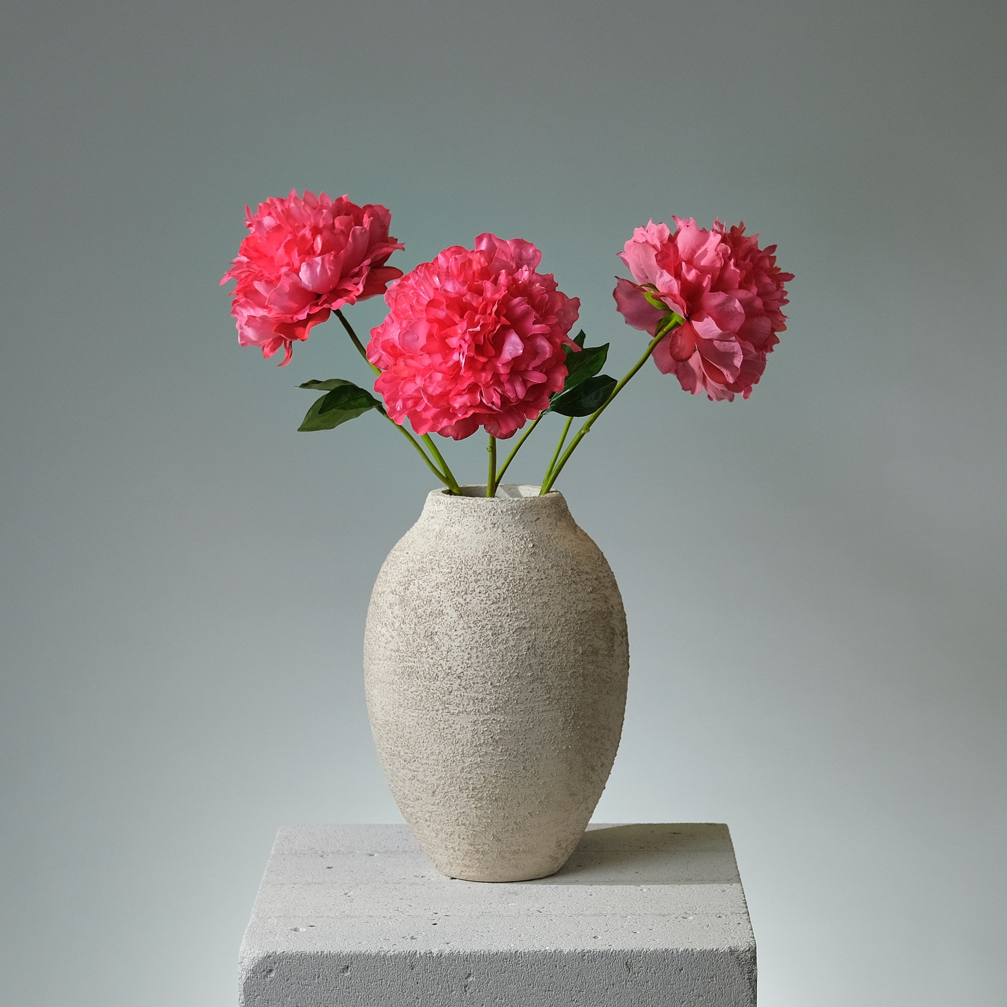 Pion Mörkrosa Utslagen - FLORISSMA