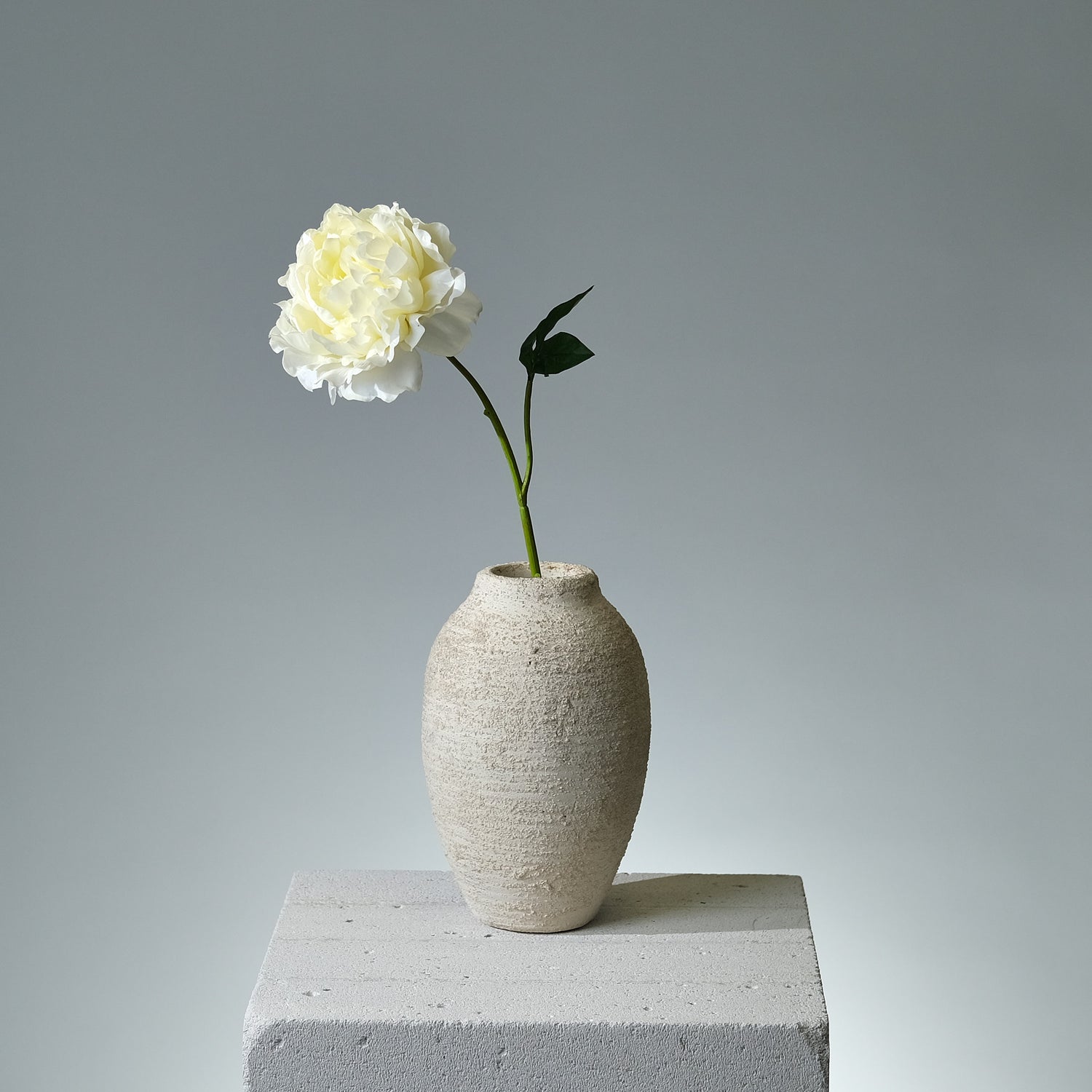Pion Ljusgul Utslagen - FLORISSMA