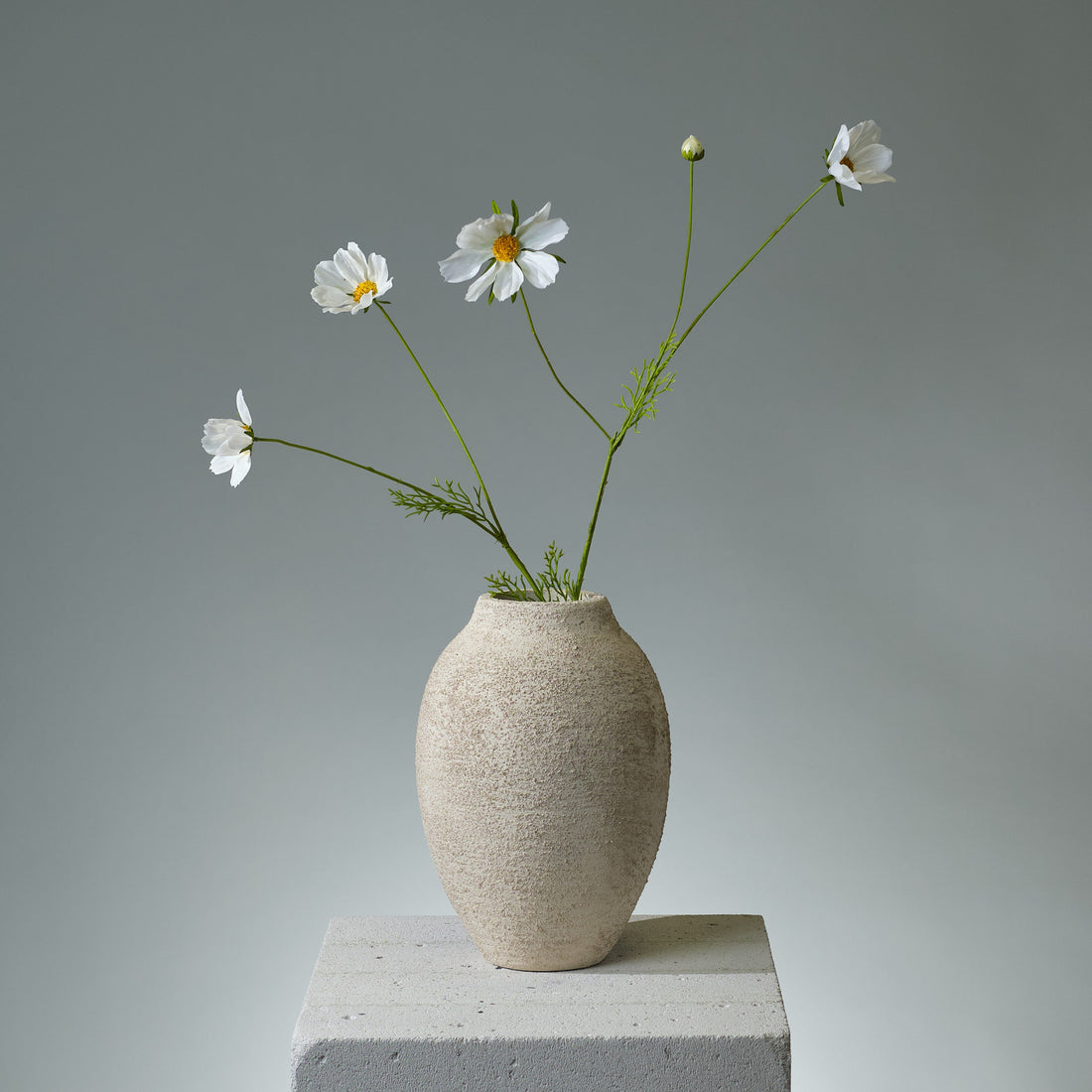 Kosmos Cremé konstblomma - FLORISSMA