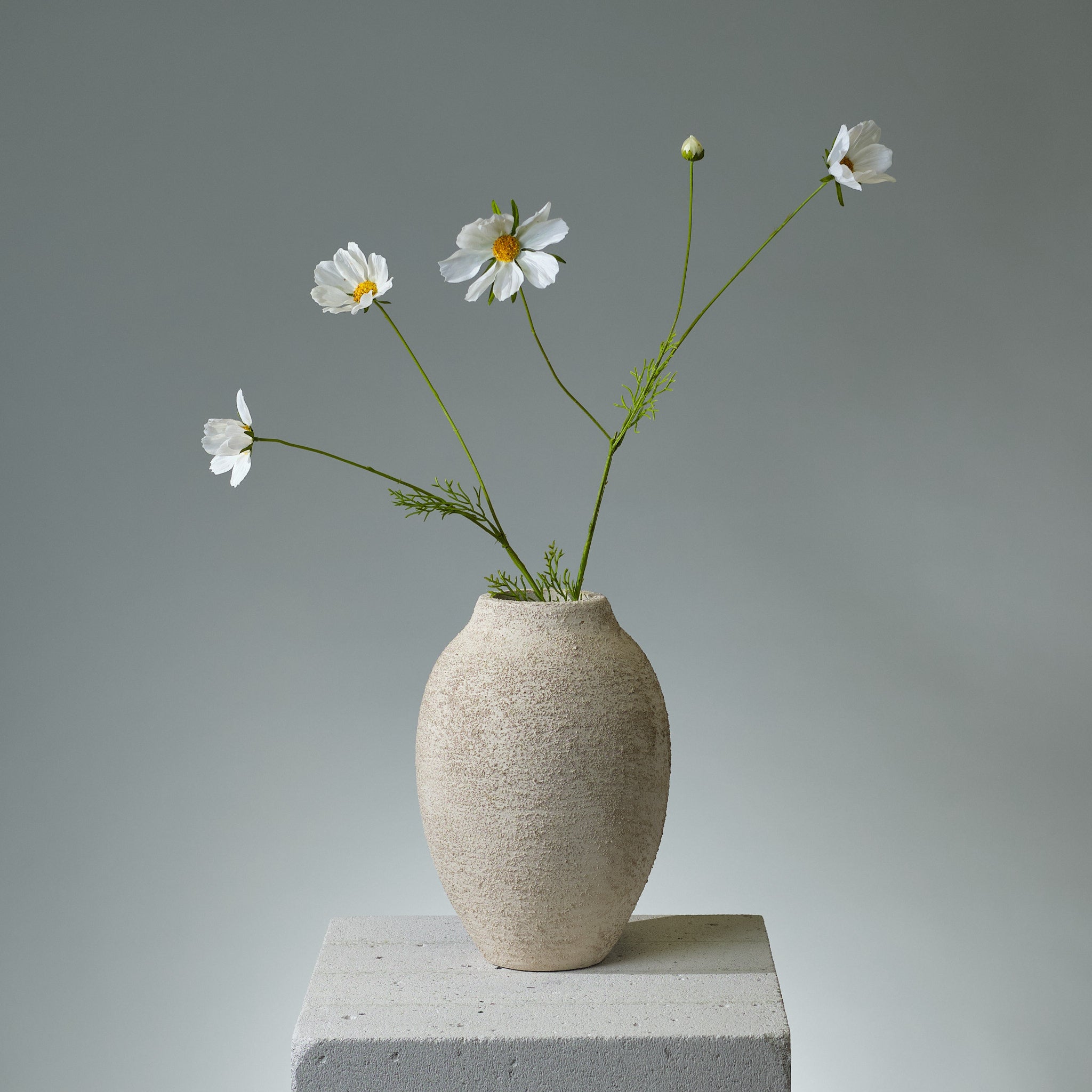 Kosmos Cremé konstblomma - FLORISSMA