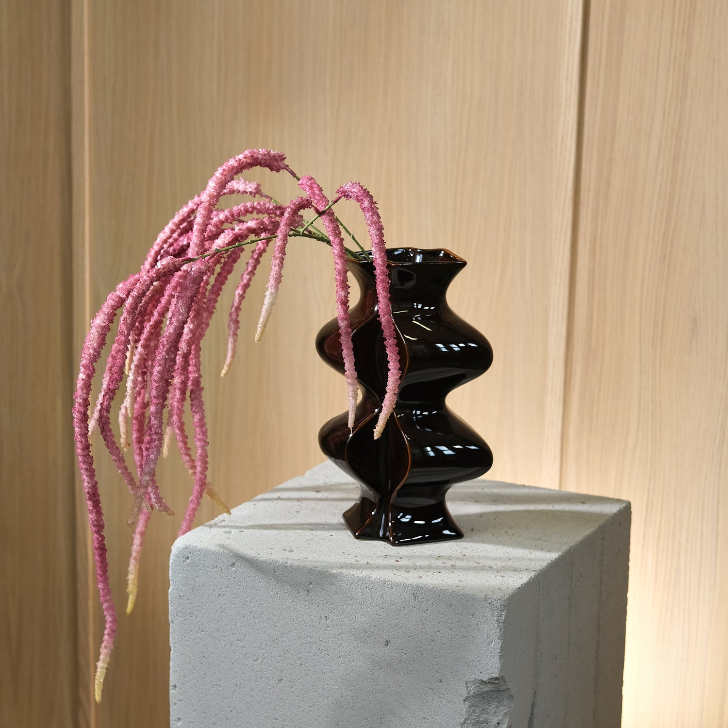 Amaranthus Lila Kostblomma 130 cm