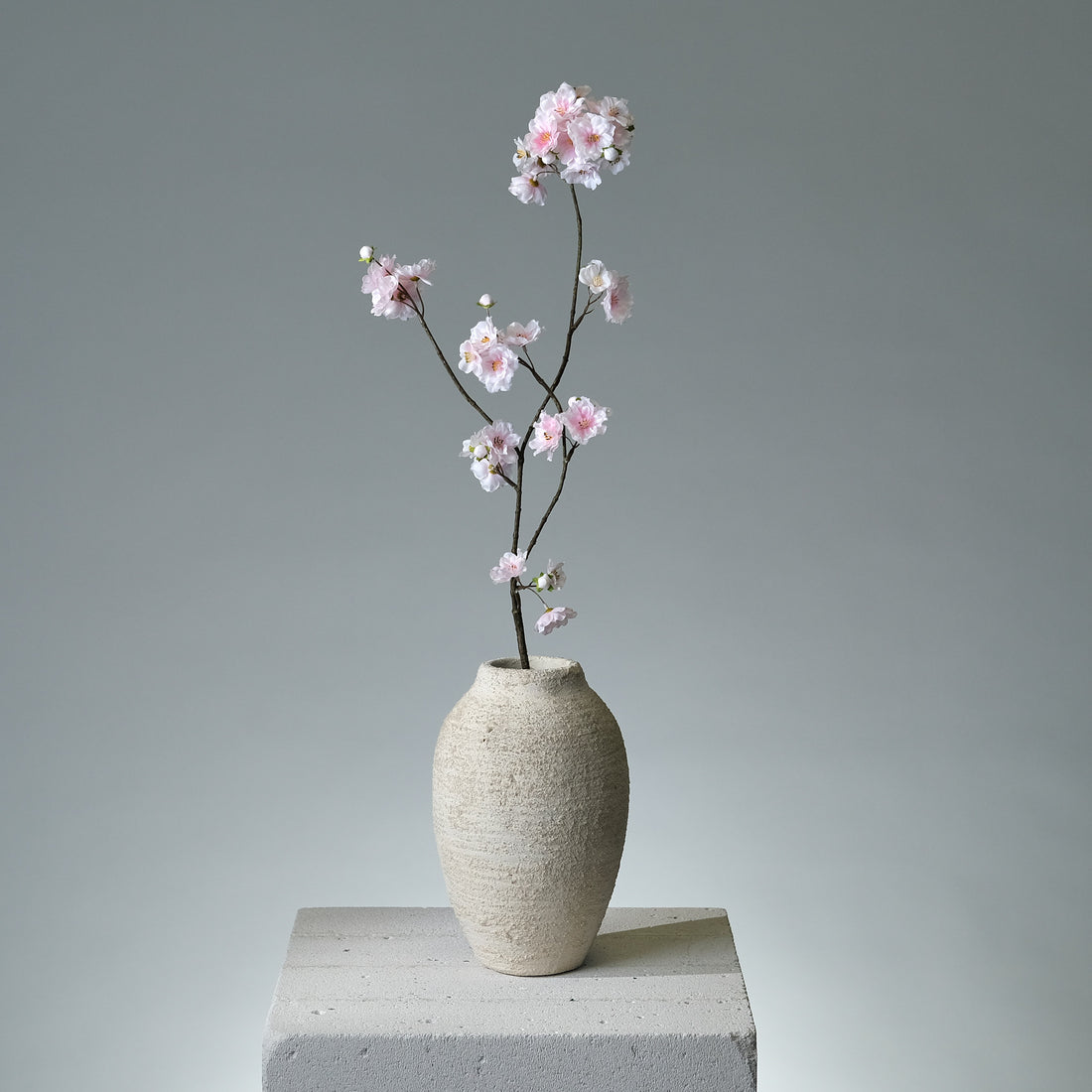 Körsbärsblomma Ljusrosa - FLORISSMA