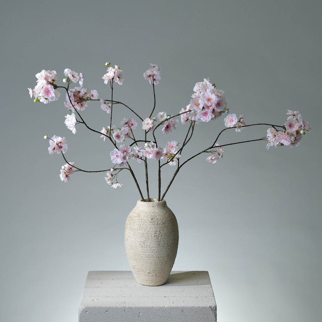 Körsbärsblomma Ljusrosa - FLORISSMA