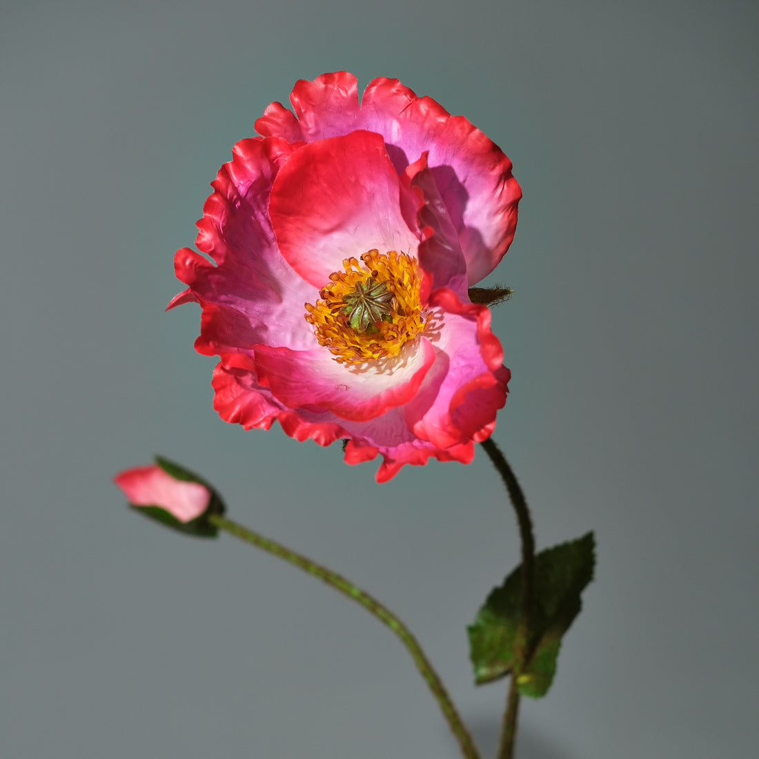 Vallmo Beauty - FLORISSMA