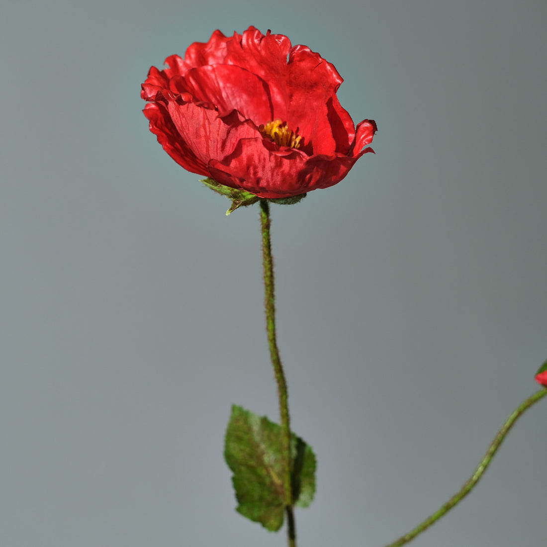 Vallmo Röd Närbild Konstblomma - FLORISSMA