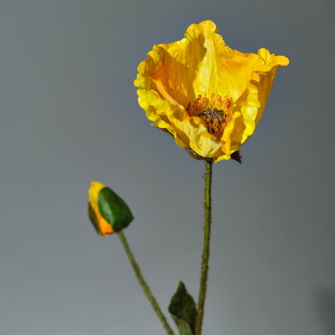 Vallmo Gul Konstgjord blomma närbild - FLORISSMA