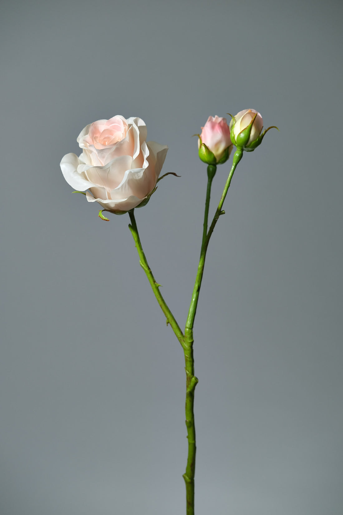 Konstgjord Ros i färgen persika med Knoppar. Bilden visar en närbild från sidan - FLORISSMA
