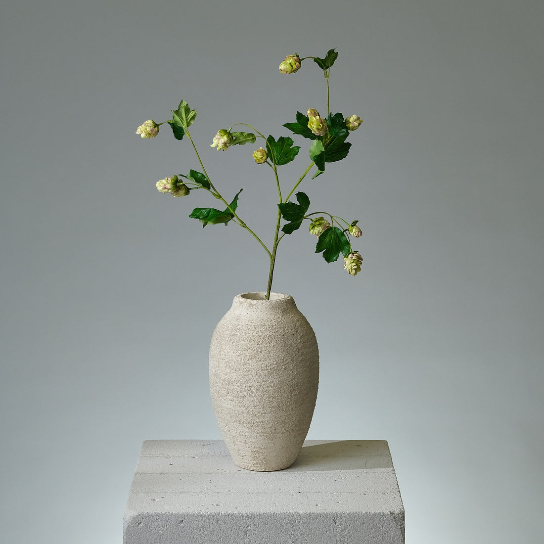 Humle Grön/Lavendel - FLORISSMA