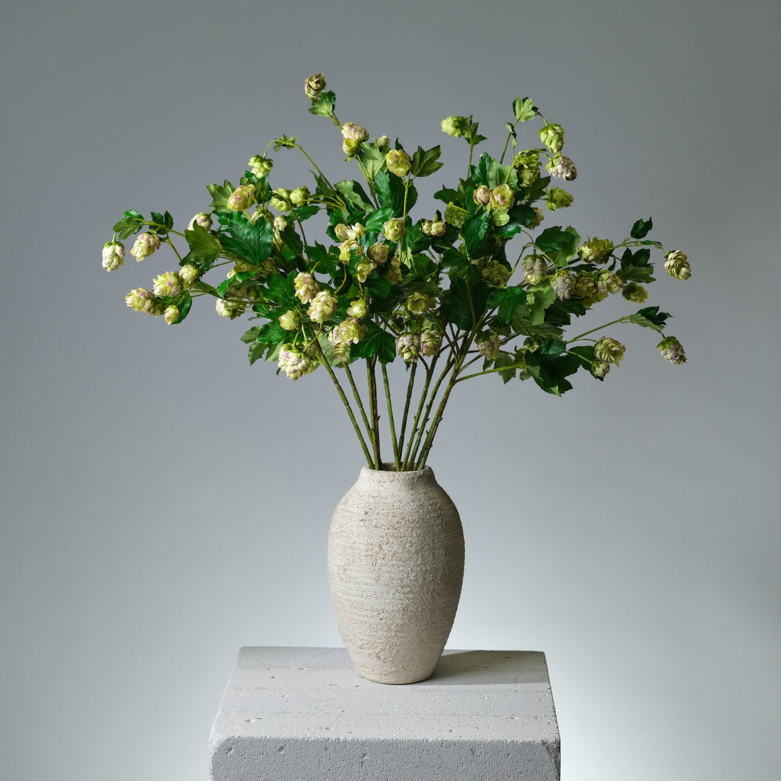 Humle Grön/Lavendel - FLORISSMA