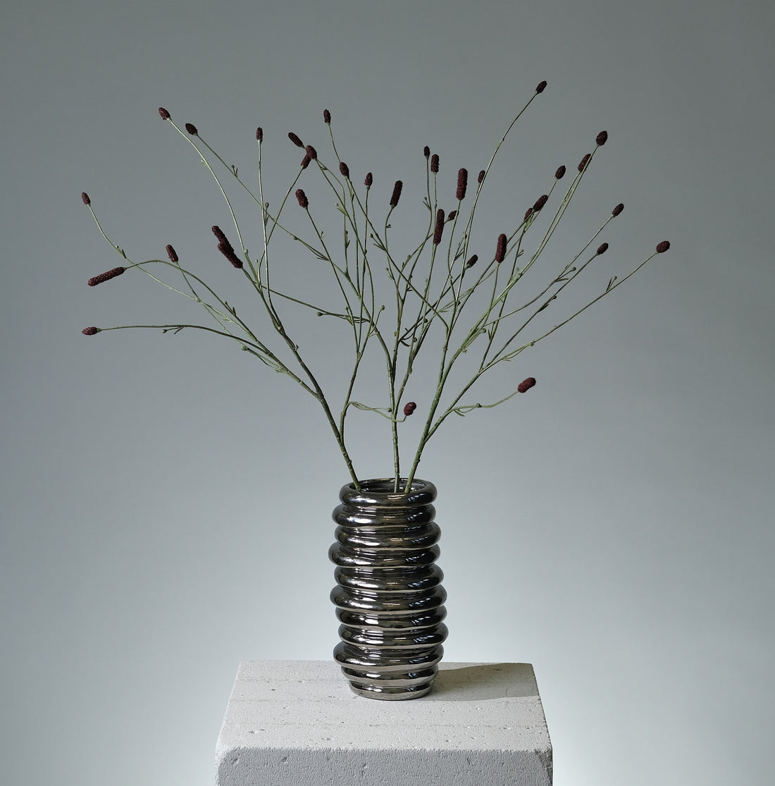 Pimpinell Burgundy - FLORISSMA