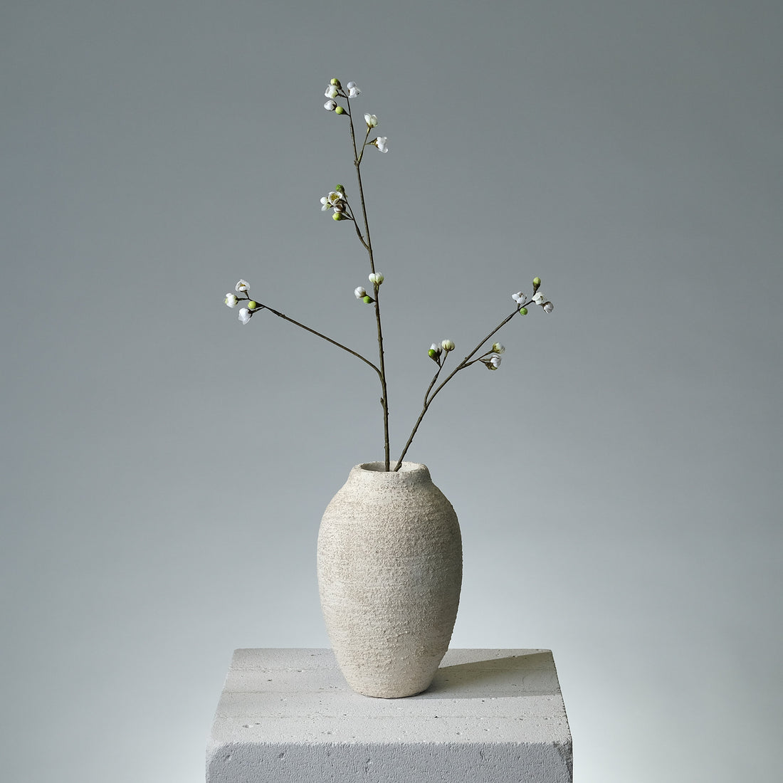 Körsbärsblomma Cremé - FLORISSMA