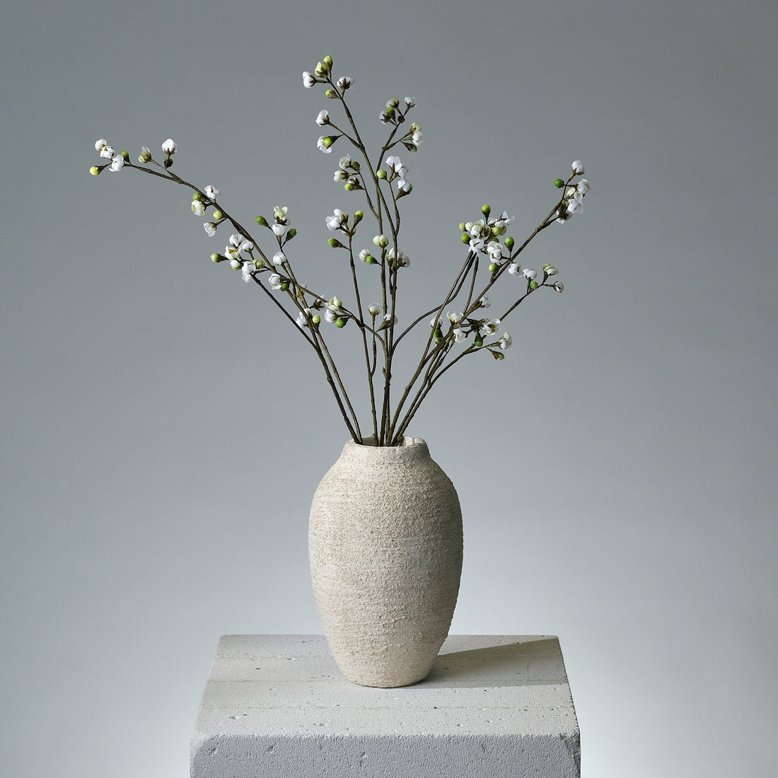 Körsbärsblomma Cremé - FLORISSMA