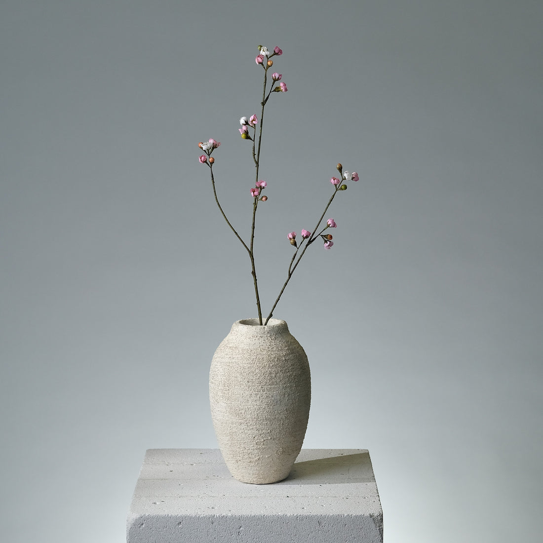 Körsbärsblomma Rosa - FLORISSMA