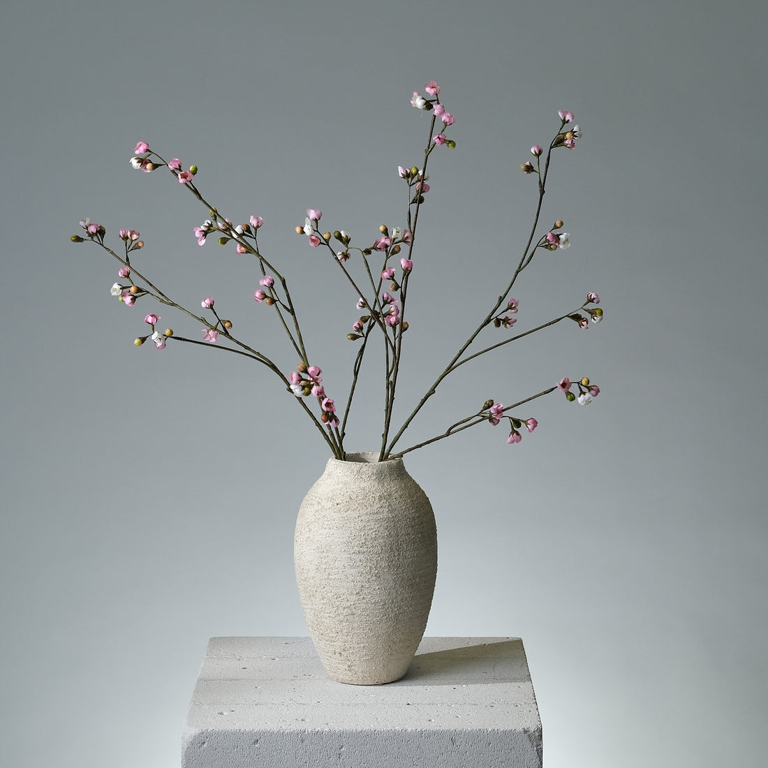 Körsbärsblomma Rosa - FLORISSMA