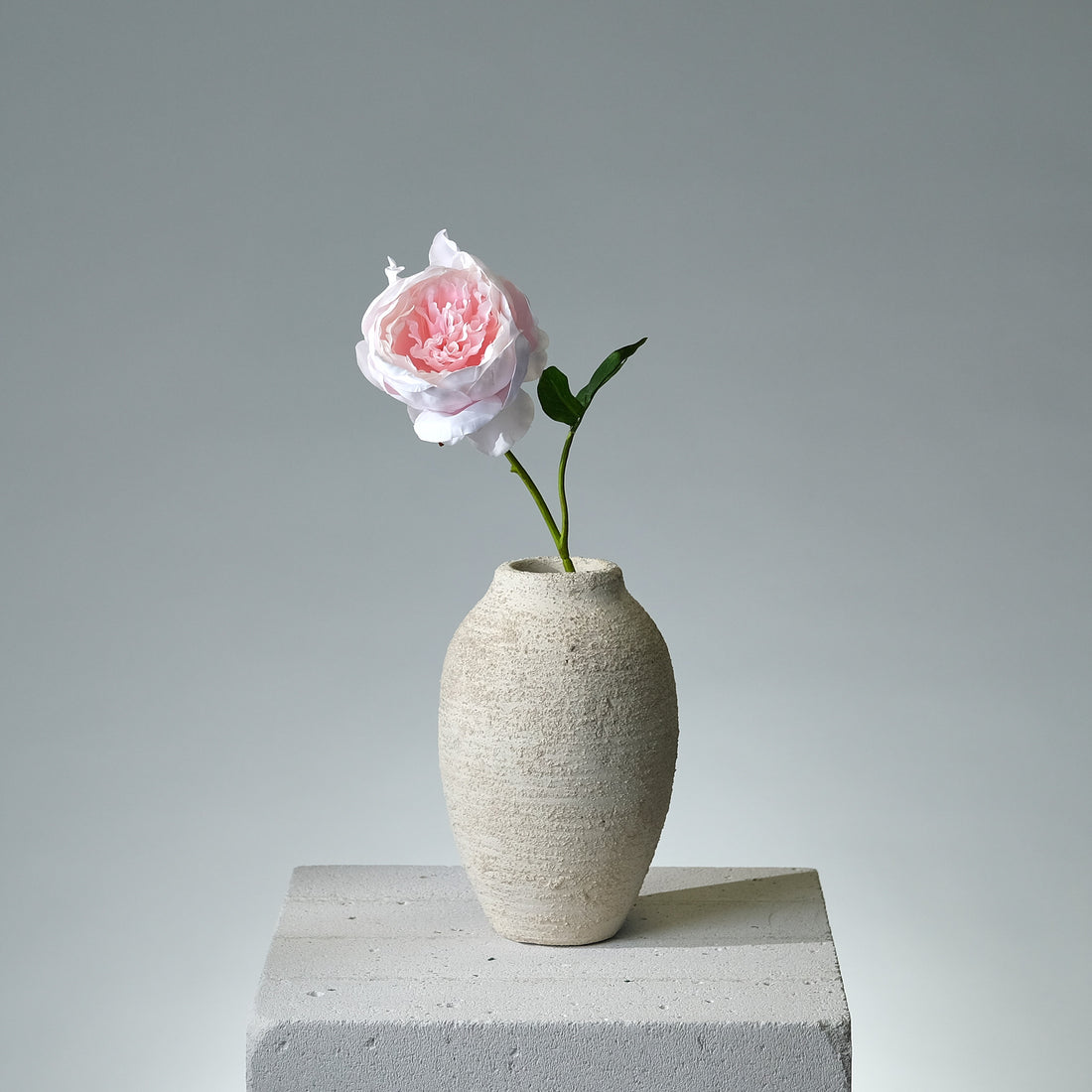 Pion Ljusrosa - FLORISSMA