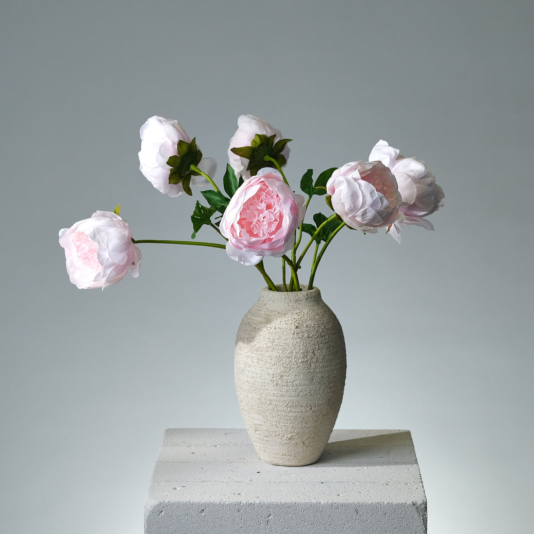 Pion Ljusrosa - FLORISSMA