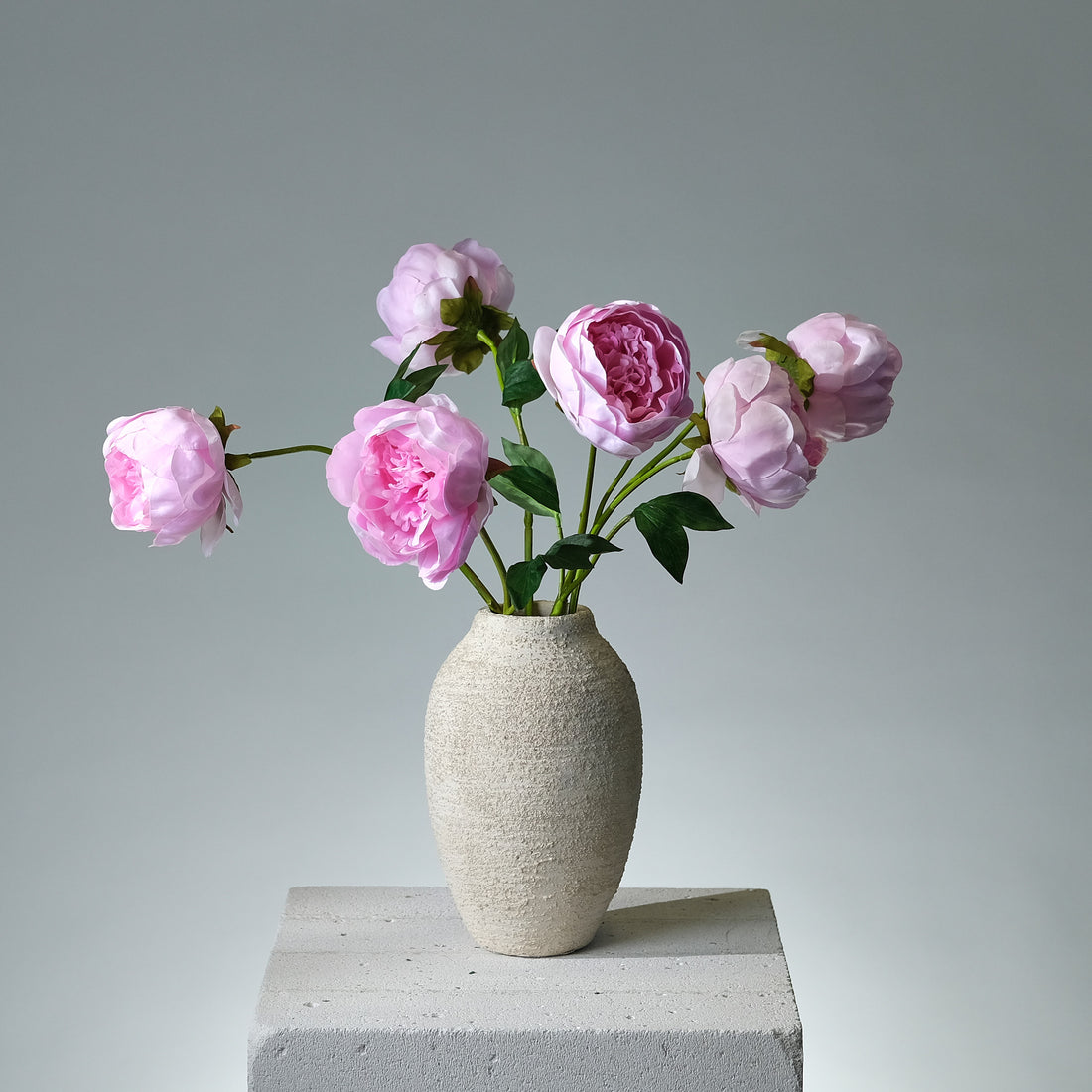 Pion Rosa - FLORISSMA