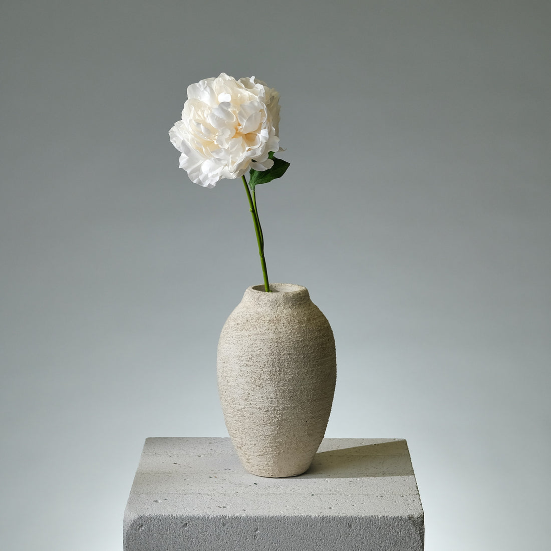Pion Cremé Utslagen - FLORISSMA