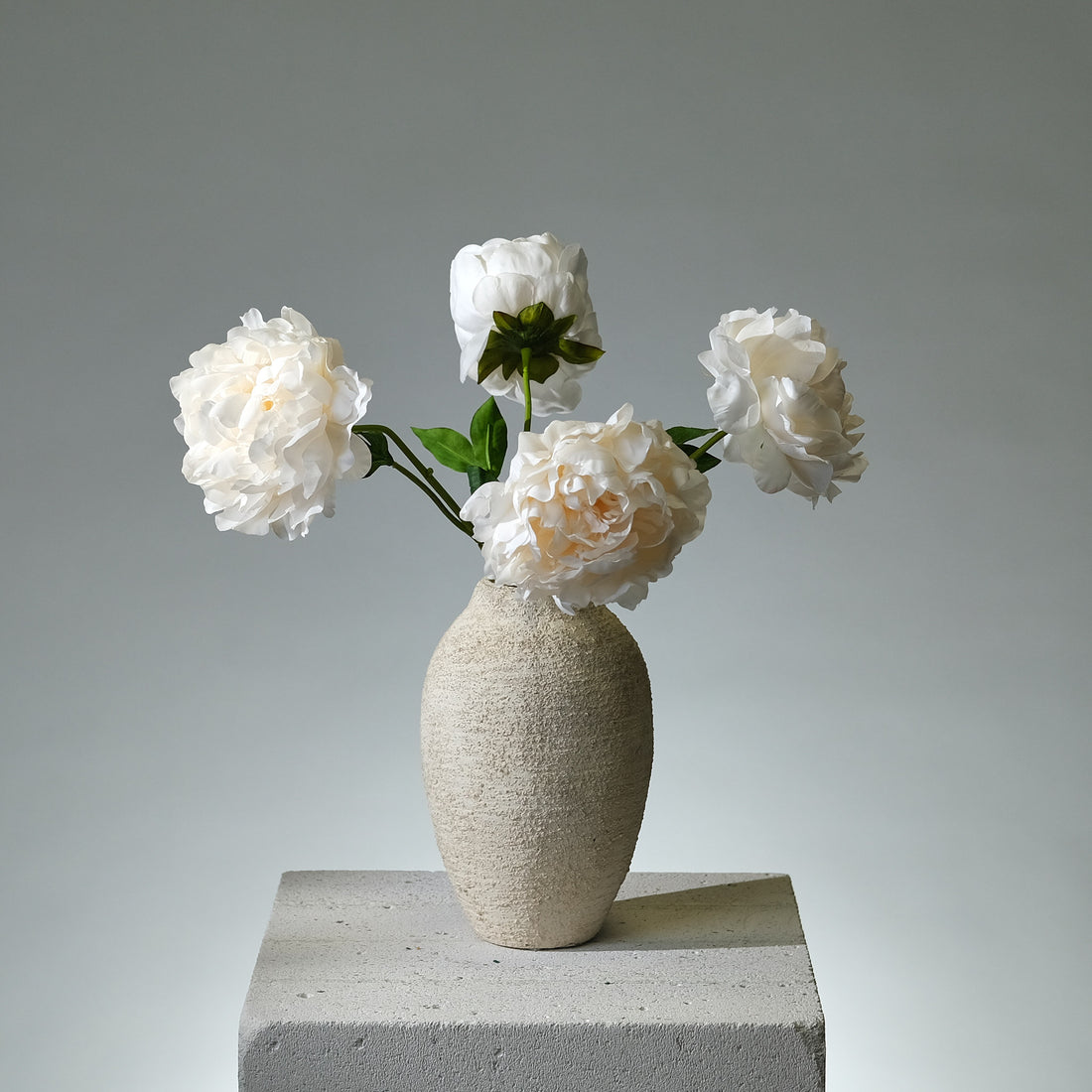 Pion Cremé Utslagen - FLORISSMA