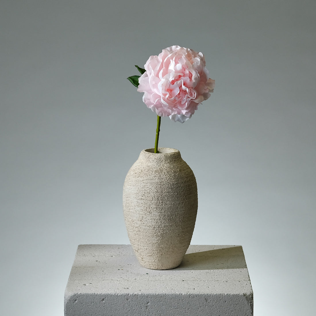 Pion Ljusrosa Utslagen - FLORISSMA