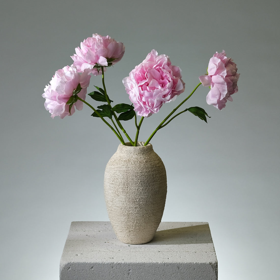 Pion Rosa Utslagen - FLORISSMA