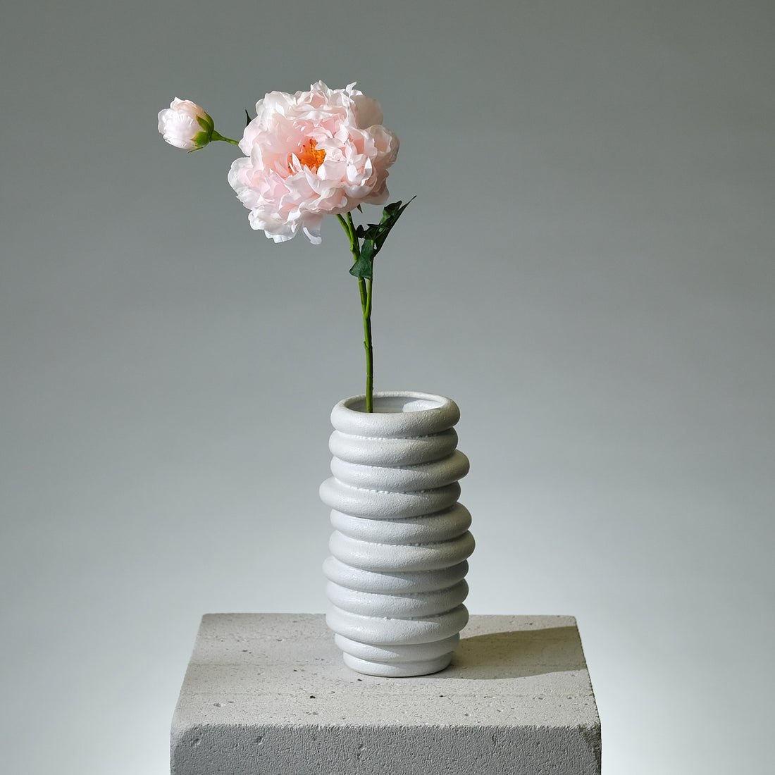 Pion Rosa med Knopp - FLORISSMA