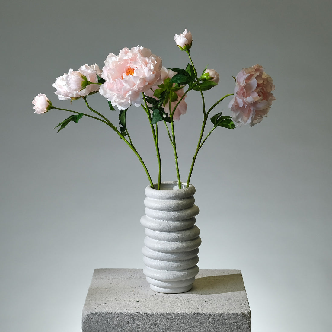 Pion Rosa med Knopp - FLORISSMA