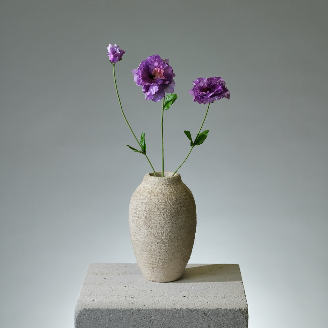 Pensé Lavendel - FLORISSMA
