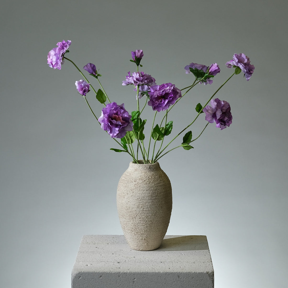 Pensé Lavendel - FLORISSMA