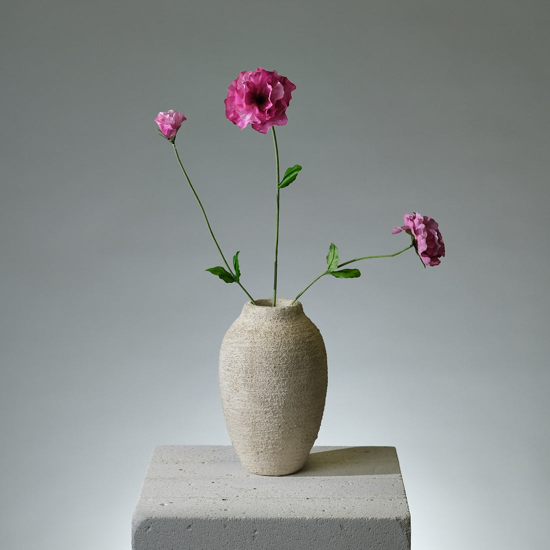Pensé Beauty - FLORISSMA