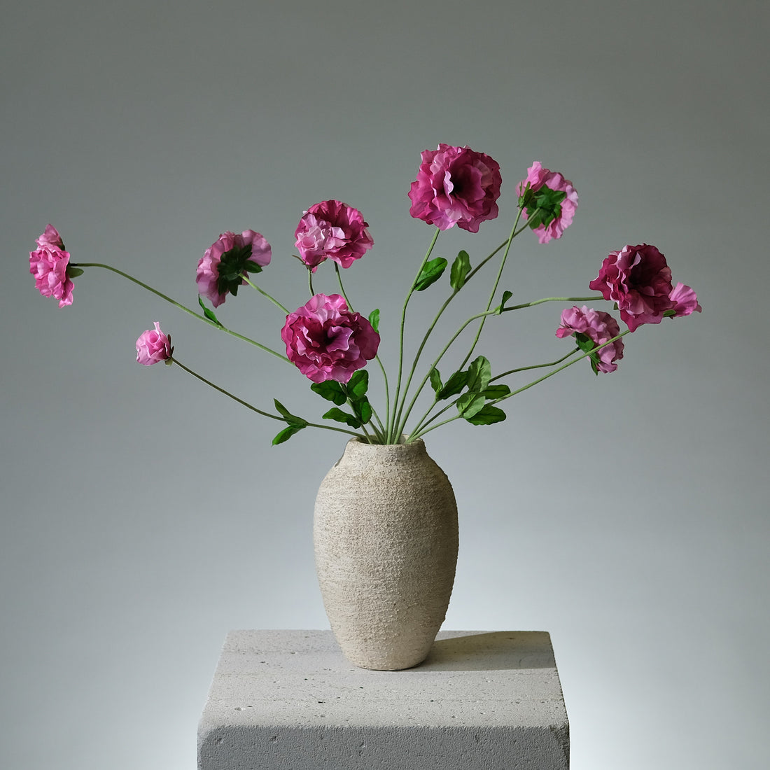 Pensé Beauty - FLORISSMA