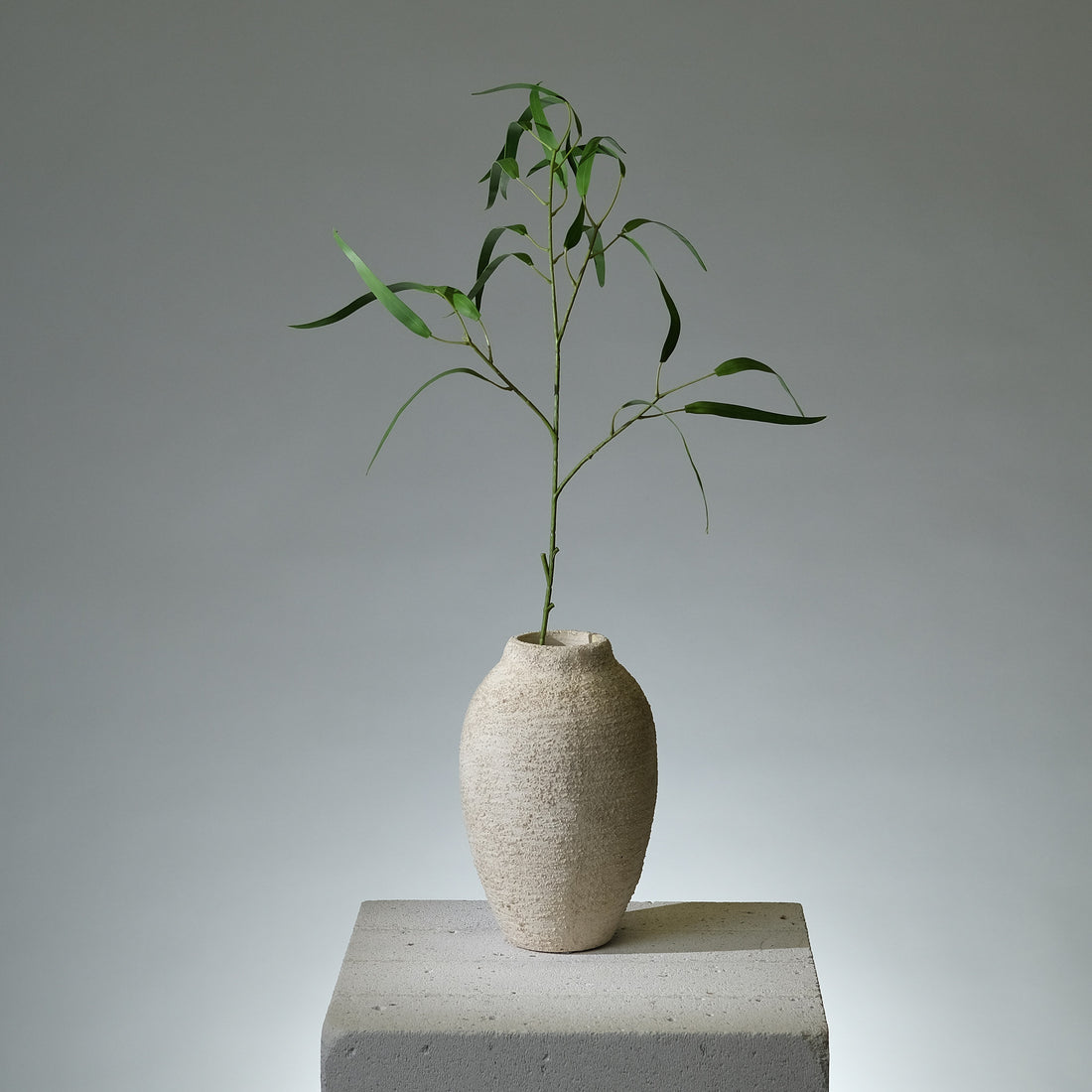Eukalyptus Kvist Klargrön Pilblad - FLORISSMA