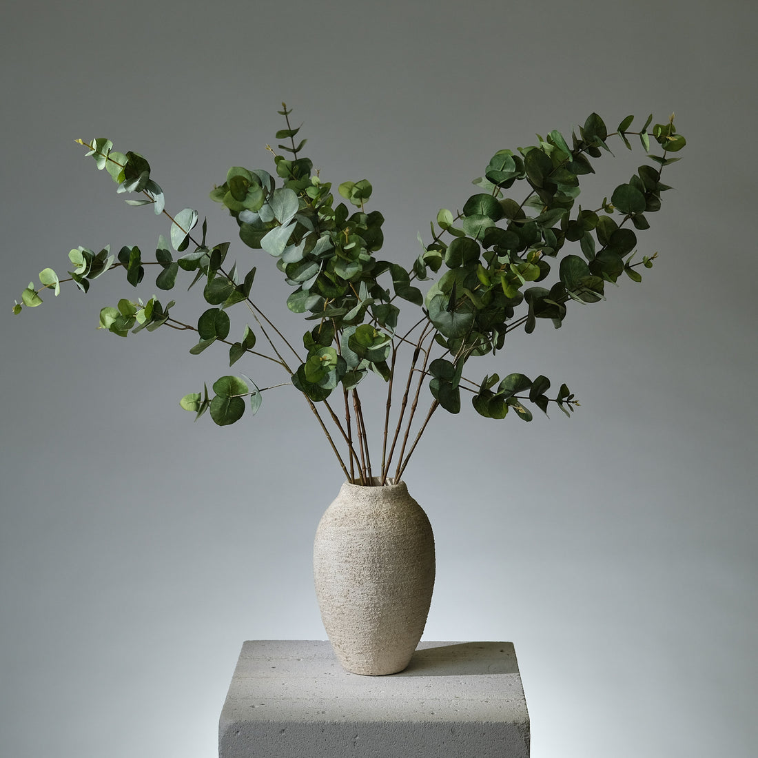 Eukalyptus Kvist Grön Runda Blad - FLORISSMA