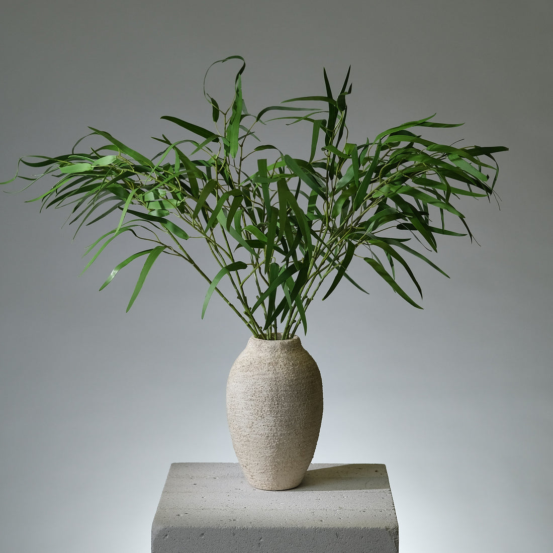 Eukalyptus Kvist Klargrön Pilblad - FLORISSMA