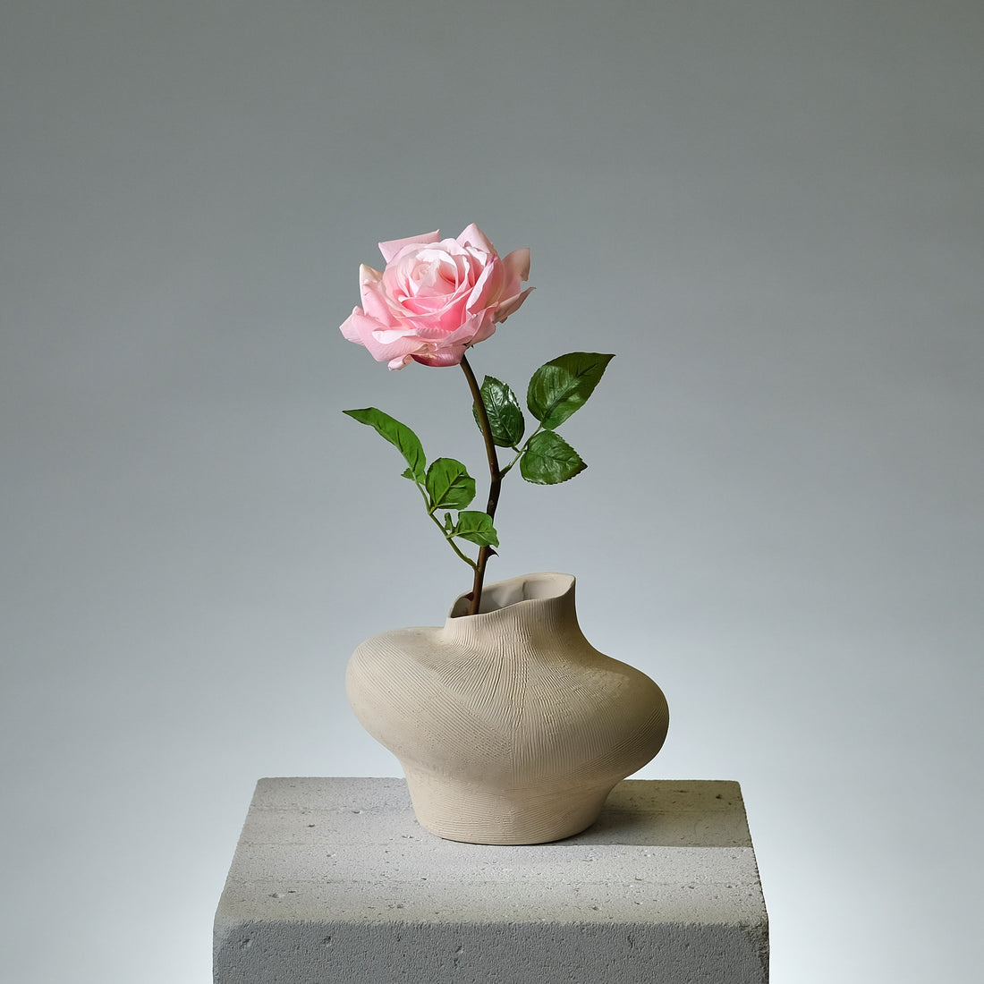 Ros Rosa - FLORISSMA