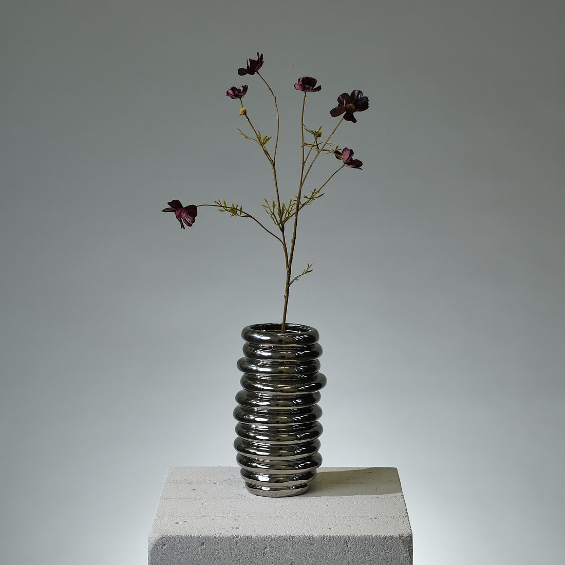 Rosenskära Burgund - FLORISSMA