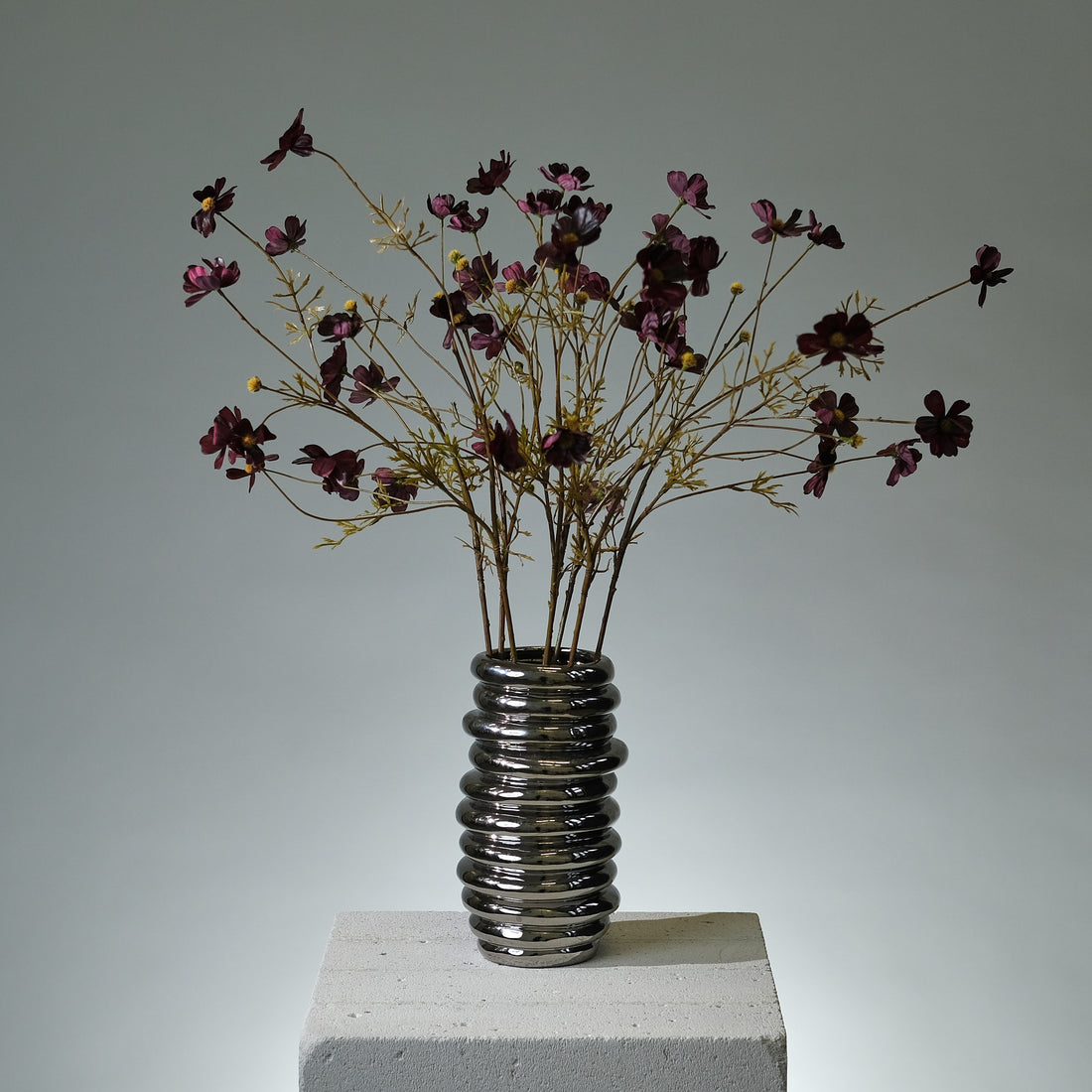 Rosenskära Burgund - FLORISSMA